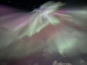 真上にも現れました