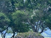 パワーストーン