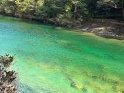 屋久島トレッキングの帰り道でお茶休憩をとったエメラルドグリーンの川。通称エメグリと呼ぶらしい。