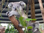 背中に触れます