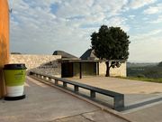 チュイフォン茶園