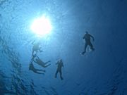 潜って撮影もしてくれます！