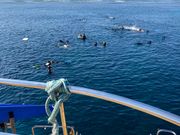 天気に恵まれました