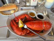 大きなロブスター