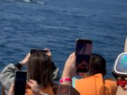 くじらさんに遭遇♪