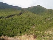 山頂の河口付近