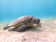 素敵な写真を撮ってもらいました！