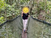 キャノピーウォーク