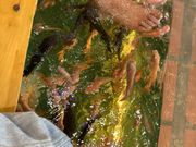 フィッシュマッサージ15分体験