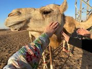 途中ラクダファームにもよってくれます