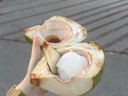 ココナッツは身も！わさび醤油ですごくおいしかったです！