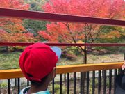 トロッコからの景色