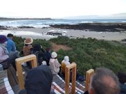 特別観覧席からの眺め