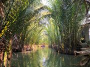 ココナッツボートから見た景色