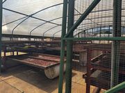 ワイアルアコーヒー見学