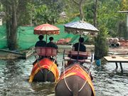 ゾウに乗れました