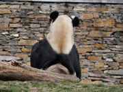 着ぐるみ忘れた人取りに来て下さ〜い