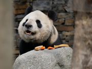 おやついっぱい貰っちゃった