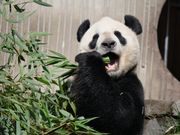 いっただきま〜す！