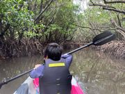 マングローブのトンネル