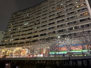 五反田のネオンと桜