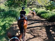 7割こういった木陰をゆっくり進みます