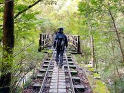 早朝は暗く寒いので防寒着必須です。1時間半位の使用でしたが、ヘッドライト持参して良かったです。