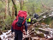 帰り道(降り)の際にガイドさんがストックを片方貸してくれて、とても助かりました。