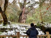 今も余韻が残るほど感動しました。