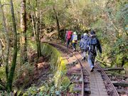 時々順番が変わりガイドさんとゆっくり会話が出来ました。
