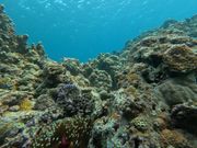 シュノーケイリング風景