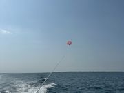 飛んでるところ