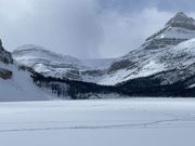 Bow Lake からの眺め。奥の方に見えるのは氷河とのこと。