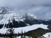 Peyto Lake の上にある展望台まで10分程ハイキング。絶景が見られました。