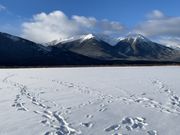  朝の Vermilion Lake