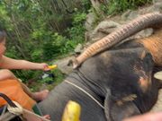 象さんに乗る前にバナナとパイナップルを購入