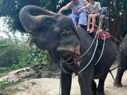 海が見える丘でおやつタイム