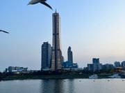 出航したての汝矣島と鳥