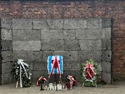 アウシュヴィッツの銃殺に使われた壁