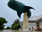 水族館前オブジェ