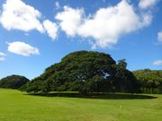 モアナルア・ガーデン