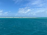 ミコマスケイが見えた時感動しました！