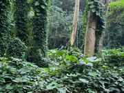 映画の場面で使用された場所だそうです！