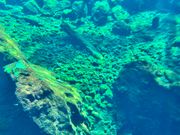 グランセノーテ