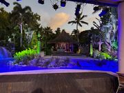 ジャングルの中の様な雰囲気