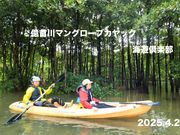 貴重なマングローブの観察