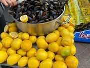 ミディエドルマ