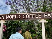 コーヒーファーム