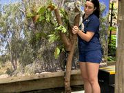 コアラタッチの写真準備中