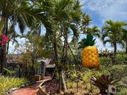 パイナップルパーク